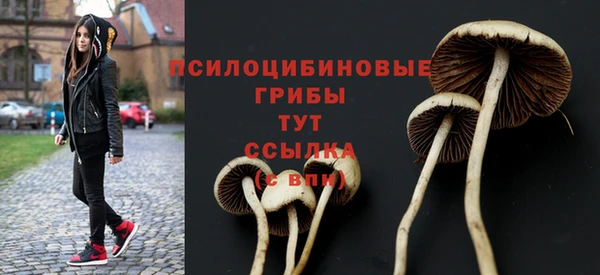 ешки Лихославль