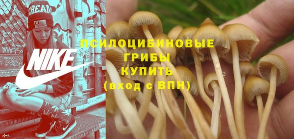 ешки Лихославль