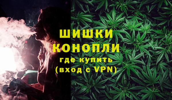 шишки Магадан