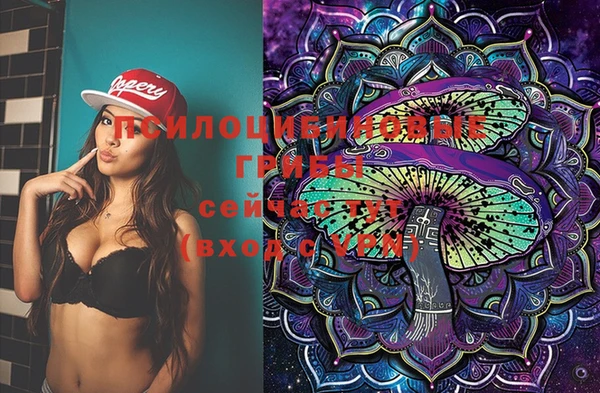 амф Липки